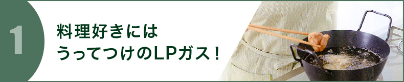 料理好きにはうってつけのLPガス